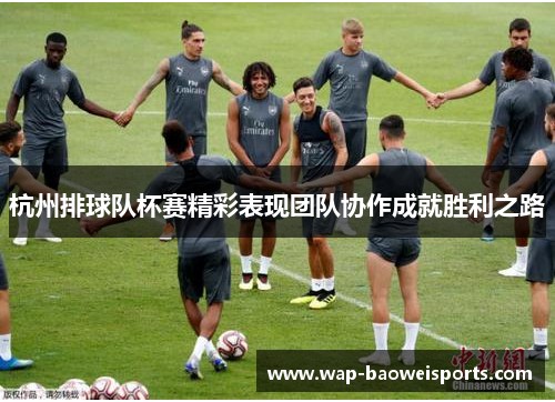 杭州排球队杯赛精彩表现团队协作成就胜利之路