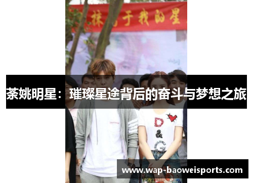 荼姚明星：璀璨星途背后的奋斗与梦想之旅