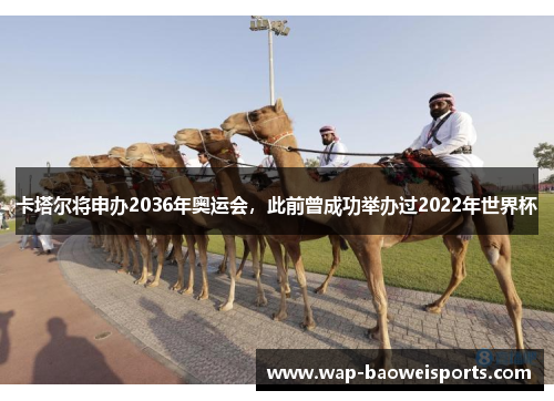 卡塔尔将申办2036年奥运会,此前曾成功举办过2022年世界杯 卡塔尔将申办2036年奥运会,此前曾成功举办过2022年世界杯